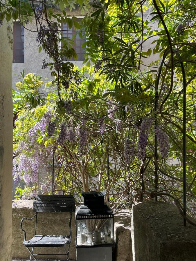 Face Au Palais Bed and Breakfast Avignon Eksteriør billede